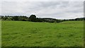 Grassland near Burnside