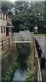 The Norbury Brook in front of Treetops Court