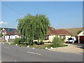 Bungalows, Coppermill Road