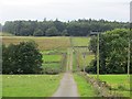 Farm road, Laighwood