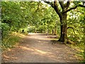 Lakeside Path at Hardwick Village