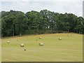 Rooks and round bales