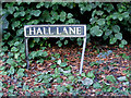 Hall Lane sign