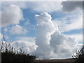 NT8836 : Cumulonimbus  cloud near Flodden Field by Barbara Carr