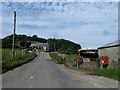 Rush hour in Bettiscombe