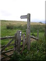 NY9292 : Public Bridleway (Border County Ride) to Hillside Cottage by Stanley Howe