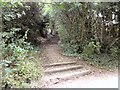 Footpath in Haughton Dale