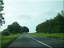 N2165 : Approaching a bend on the N55 at Corry, Co Longford by Eric Jones