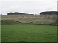 Liddesdale farmland