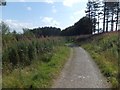 Footpath around Wistlandpound Reservoir