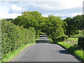 Avenue of trees on Yieldshields Road