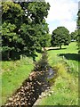 Netherton Burn