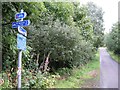 Cycle route signpost