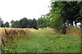 The footpath by Farmoor Reservoir