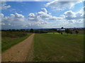 View south from path through Stockley Park Golf Course