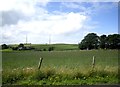 NY8359 : View towards Catton Beacon by Stanley Howe