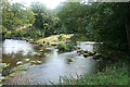 Chagford: stepping stones across the Teign