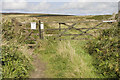 Track to Tredinney Common