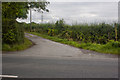 A footpath off Lindle Lane Bamford