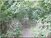 TR1459 : The trackbed of the former Canterbury to Whitstable Railway by John Baker