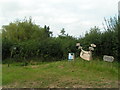 Signs outside the entrance to Pilsdon Hill Farm