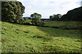 Bridleway below Carlow Hill