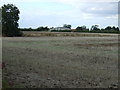 Farmland, Cold Hanworth