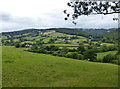 View from Terrace Walk, Ashburton