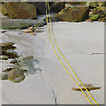 SV8808 : Yellow rope on Porth Conger beach by David Lally