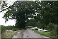 Approaching Grange Plantation and Aby Grange Farm