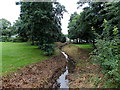 Looking SE along an unnamed stream in Pembroke