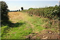 Stubble field south of East Farm