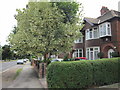 Houses on Boothferry Road, Hessle