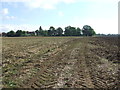 Footpath Leading Behind Oak Farm