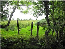 H2773 : Curraghmacall Townland by Kenneth  Allen