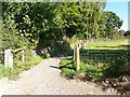 New path on the edge of Adel East Moor