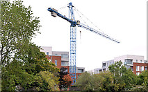 J3471 : "The Embankment" crane, Belfast by Albert Bridge