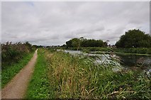 SX9687 : Teignbridge : The Exeter Canal by Lewis Clarke