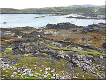 NM5270 : Foreshore at Kilmory by Anne Burgess
