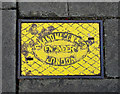 ST8042 : Fire hydrant cover, Longleat by Rossographer