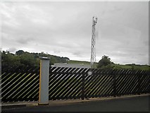 NU2311 : Telecomms mast from Alnmouth railway station by Steve  Fareham