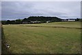 Teignbridge : Grassy Field