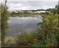 Eastern side of Waun Pond Nantyglo