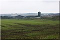 Grassland after slurry application, Treddiog-fach