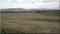 NN9618 : Arable land near Trinity Gask by Richard Webb