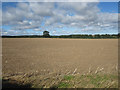 NU1235 : Freshly tilled arable field west of Easington Demesne by Graham Robson