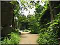 NZ0878 : The quarry garden at Belsay Hall by Andrew Tryon