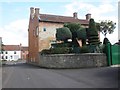 Topiary garden, North Curry