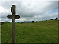 Ordinary footpath meets Pennine Way