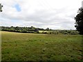 Field near Bolney CofE primary School